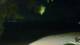 Le Morne 08.06.2025 21:22