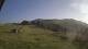 Camurac 12.06.2025 21:23