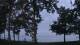 Houghton Lake, Michigan 08.06.2025 21:48