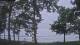 Houghton Lake, Michigan 14.06.2025 21:48