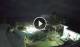 Anse Parnel (Mahé) 06.07.2025 21:24