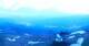 Rogno 29.04.2025 21:25