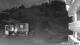 Sinaia 08.06.2025 21:49
