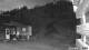 Sinaia 05.07.2025 21:49