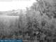 Bolonia 08.06.2025 21:25