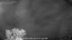 Carrum 10.05.2025 21:25