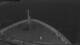 Norwegian Sky 29.04.2025 21:27