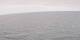 AIDAbella 04.07.2025 21:49