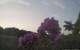Montbliart 08.06.2025 21:28