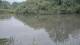 Les Landes-Genusson 14.06.2025 21:28