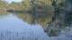 Les Landes-Genusson 30.04.2025 21:28