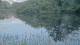 Les Landes-Genusson 12.05.2025 21:28
