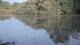 Les Landes-Genusson 01.07.2025 21:28
