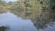 Les Landes-Genusson 11.06.2025 21:28