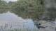 Les Landes-Genusson 29.04.2025 21:28