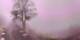 Lourdes 02.07.2025 21:28