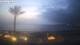 Playa de las Americas (Tenerife) 10.07.2025 21:28