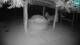Lubiana 29.04.2025 21:29