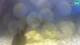 Brijuni 08.07.2025 21:28