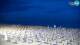 Bibione 12.07.2025 21:32