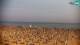 Bibione 04.07.2025 21:28