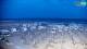 Bibione 08.06.2025 21:29