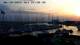 Anholt 14.06.2025 21:29