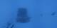 Riffelalp 22.04.2025 21:21