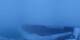 Guttannen 21.03.2025 21:22