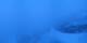 La Fouly 08.05.2025 21:22
