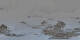 St. Moritz 20.04.2025 21:29