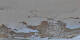 St. Moritz 08.05.2025 21:29