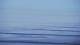 Middelkerke 30.04.2025 21:31