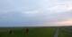 Westerhever 14.06.2025 21:31