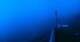 Kuzun 14.06.2025 21:33