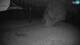 Cerkno 21.04.2025 21:34