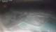 Bajamar (Tenerife) 30.04.2025 21:34