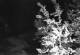 Ironton, Colorado 14.06.2025 21:36
