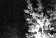 Ironton, Colorado 14.07.2025 21:36