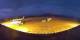 Calvi (Korsika) 04.06.2025 21:34