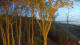 Markgrafenheide 30.04.2025 21:35