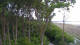 Markgrafenheide 20.05.2025 21:35