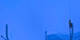 Crans-Montana 08.05.2025 21:29
