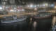 Rostock 19.09.2026 21:35