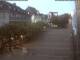 Radolfzell am Bodensee 09.07.2025 21:49
