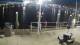 Placida, Florida 30.04.2025 21:50