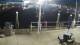 Placida, Florida 10.05.2025 21:50