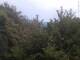 Herdecke 05.07.2025 21:50
