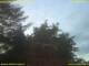 Nettetal 12.07.2025 21:53