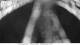 Gabbice Mare 29.04.2025 21:51